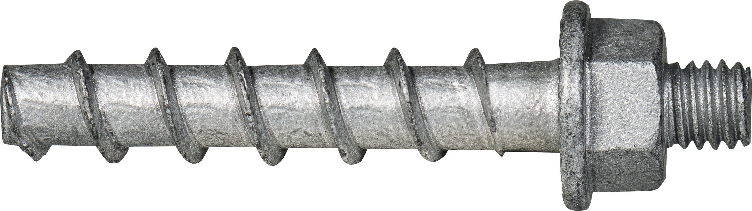 BTS6 E mit Anschlussgewinde